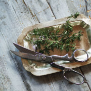 MERCHANT & MILLS  Kitchen Scissors