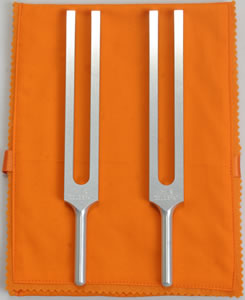 セレブレーション