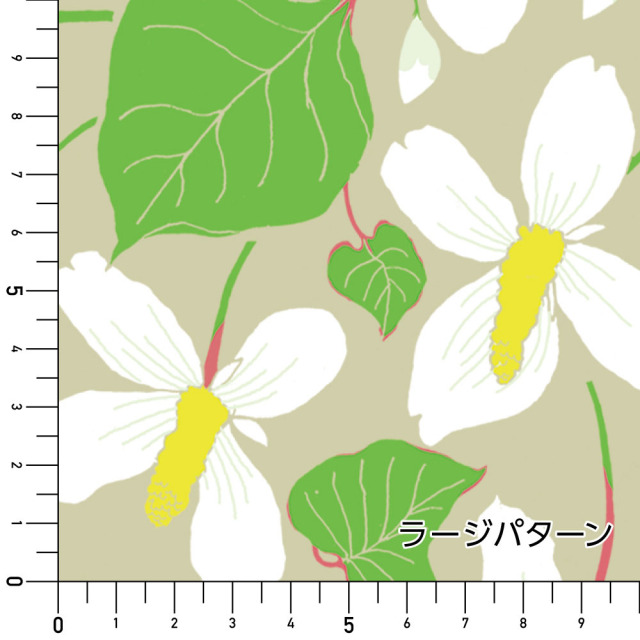 リメイクシート・増渕芽久美のfishmint実寸サイズ表ラージ