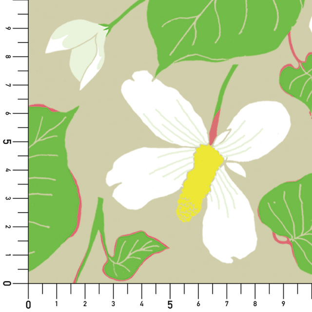 シール壁紙・増渕芽久美のfish mint実寸サイズ表