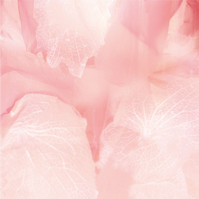 リメイクシートmini・SANAE (Dancing Flowers)