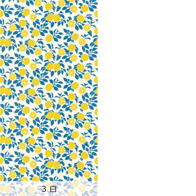 リメイクシートリメイクシート・広瀬順子のゆず（バリエーション2）