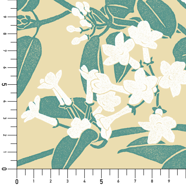 リメイクシート・広瀬順子のマダガスカルジャスミン実寸サイズ表