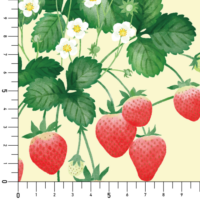 リメイクシート・廣瀬順子のStrawberry Fields実寸サイズ表