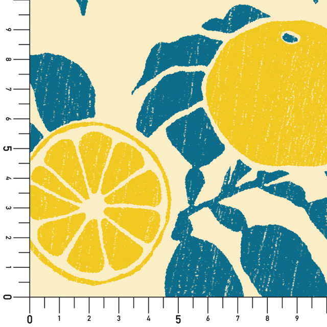 シール壁紙・広瀬順子のゆず実寸サイズ表