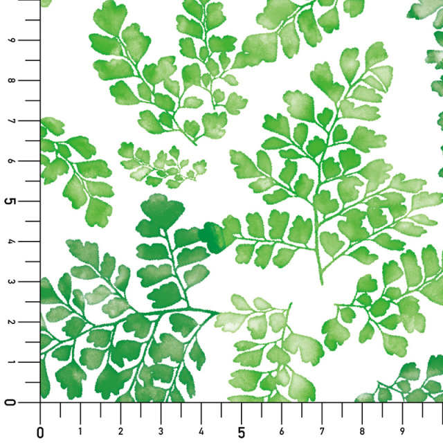 シール壁紙・広瀬順子のアジアンタム実寸サイズ表