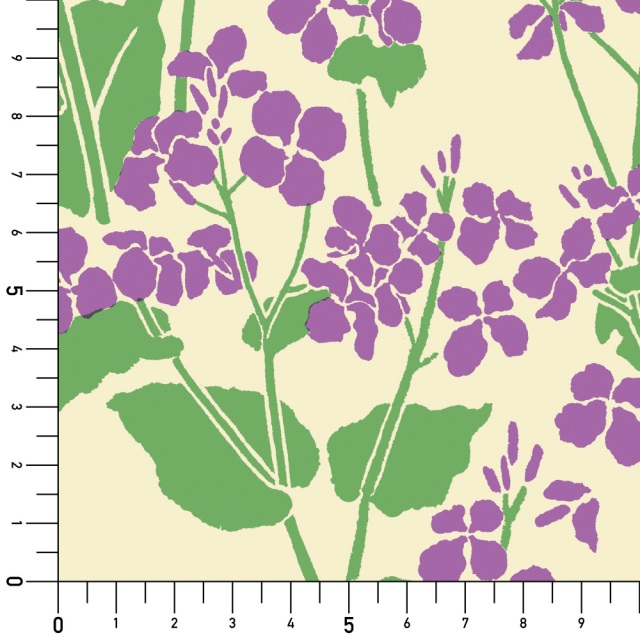 シール壁紙・広瀬順子のオオアラセイトウ実寸サイズ表