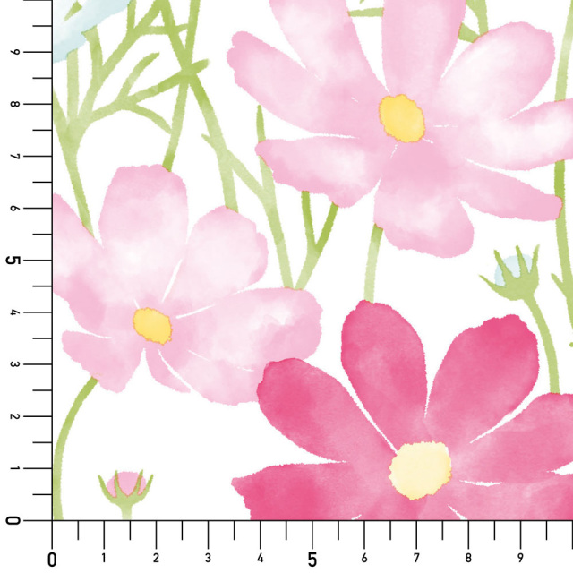 シール壁紙・広瀬順子のコスモス実寸サイズ表