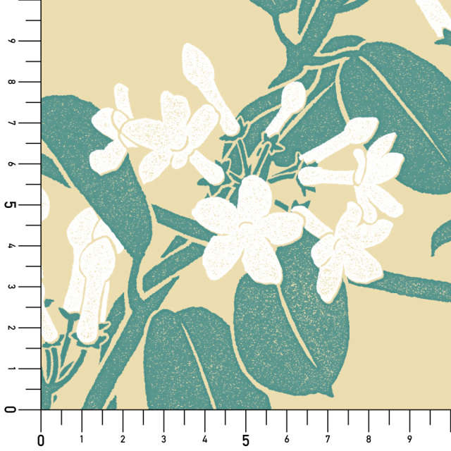シール壁紙・広瀬順子のマダガスカルジャスミン実寸サイズ表