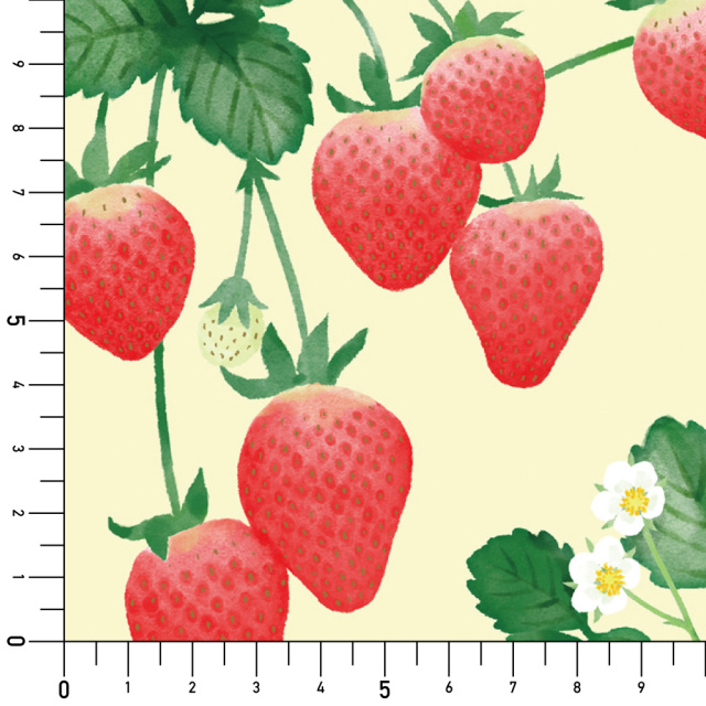 シール壁紙・廣瀬 順子のStrawberry Fields実寸サイズ表