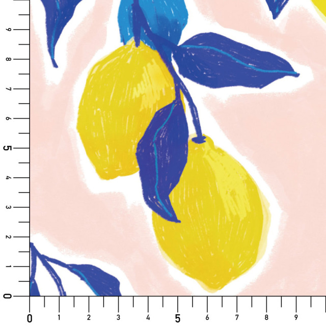リメイクシート・chapeonyaの檸檬実寸サイズ表