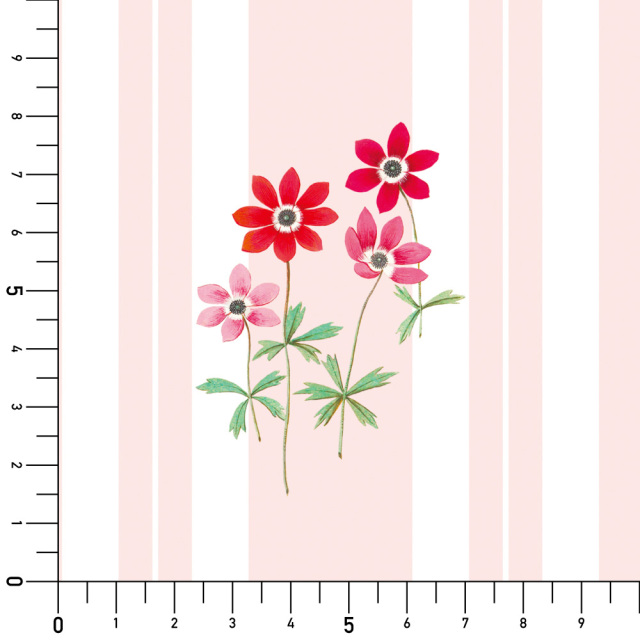 シール壁紙・chapeonyaのアネモネ実寸サイズ表