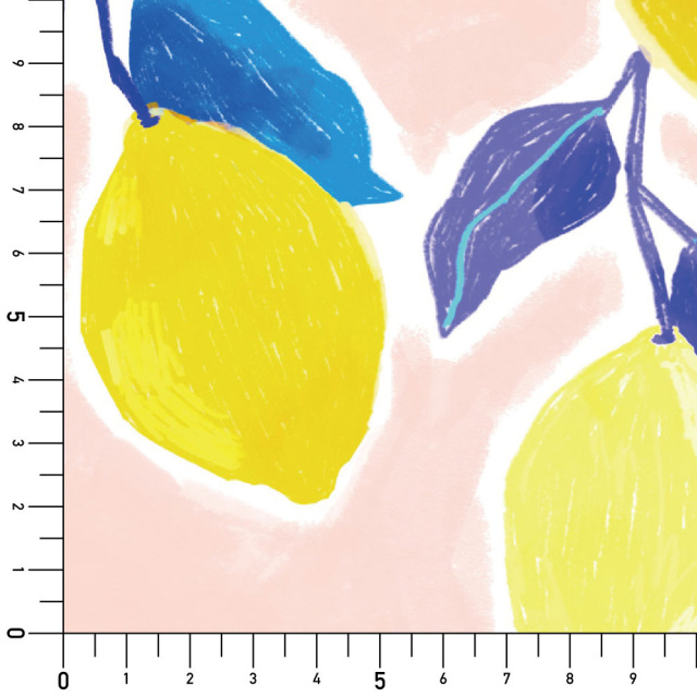 シール壁紙・chapeonyaの檸檬実寸サイズ表