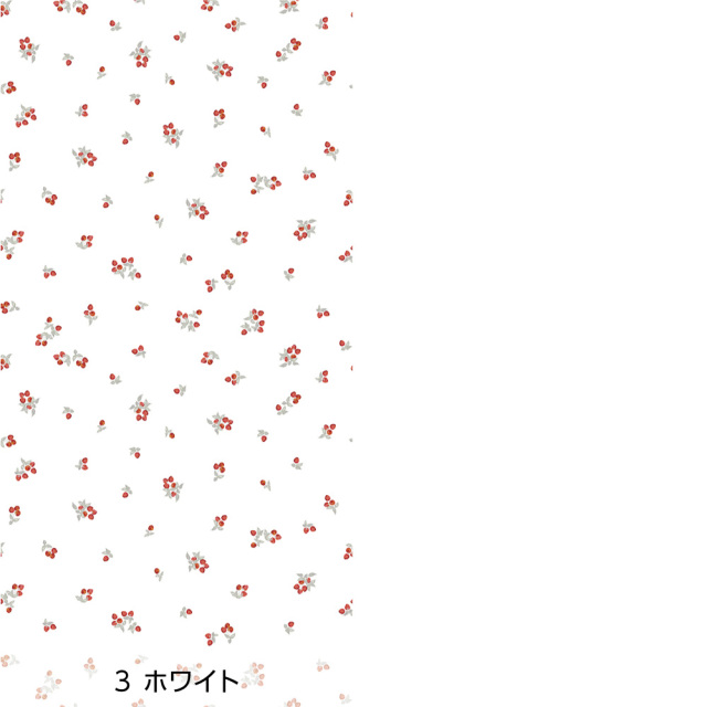 リメイクシート・tomoko arakawaのラズベリー（バリエーション2）
