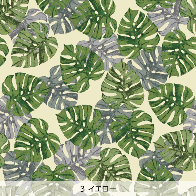 モンステラ ／ tomoko arakawa 壁紙 Harokka