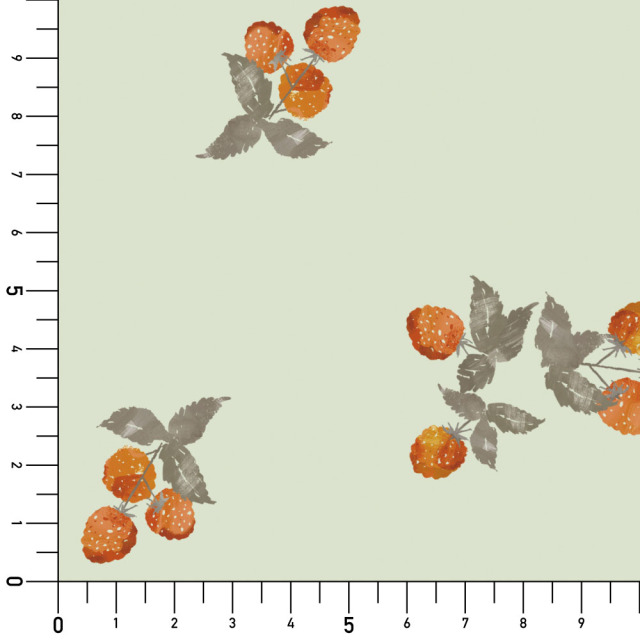 シール壁紙・tomoko arakawaのラズベリー実寸サイズ表