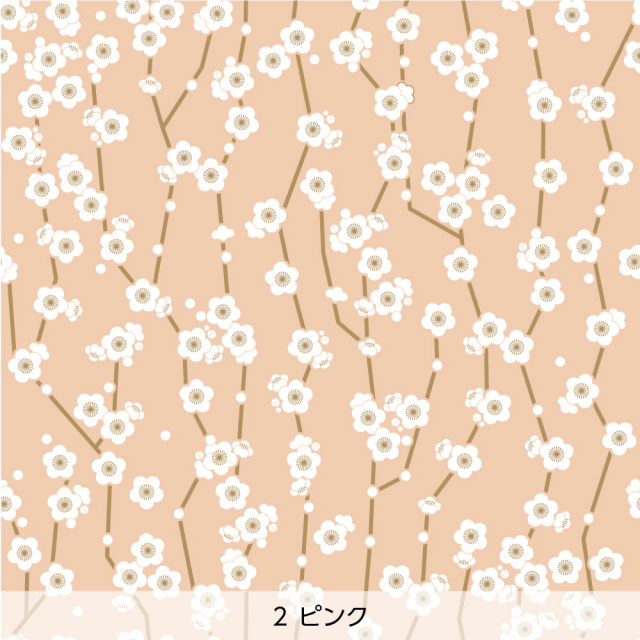 あめはらページ 両面宿儺 ⭐︎赤色版⭐︎ らあめん花月嵐 鴻巣店がリニューアルオープンしました