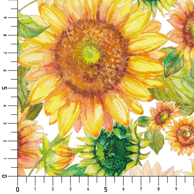 シール壁紙・nijiirolopのひまわり畑実寸サイズ表