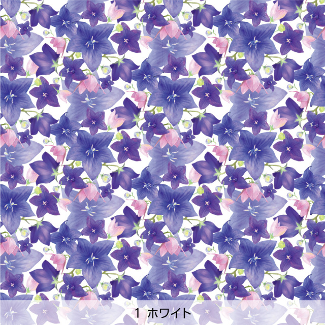 桔梗 ／ nijiirolop 壁紙 Harokka