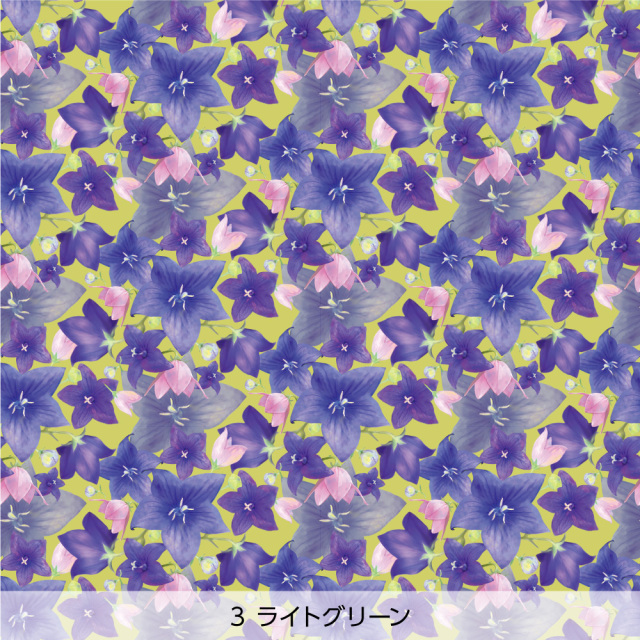 桔梗 ／ nijiirolop 壁紙 Harokka