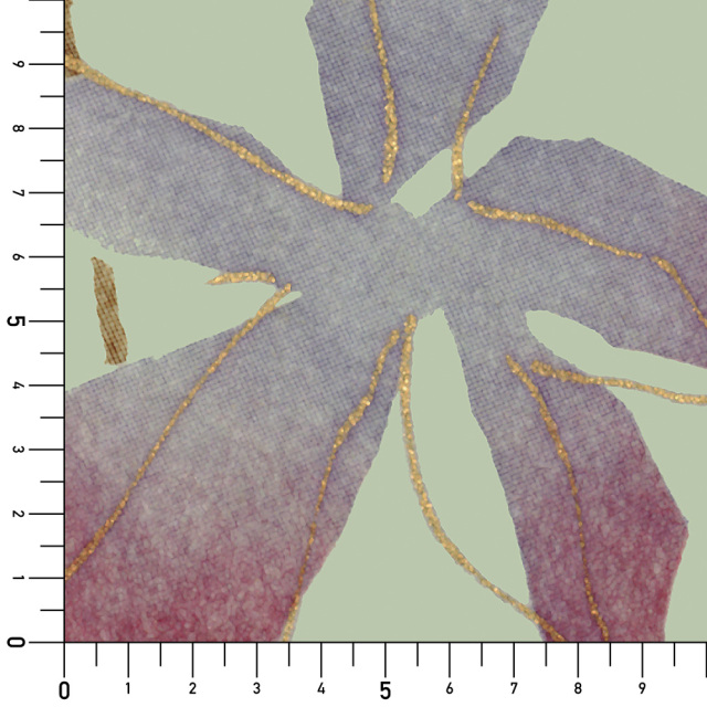 シール壁紙・いろはなの香実寸サイズ表