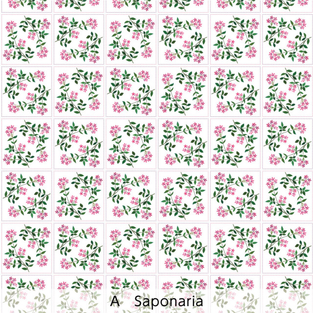 リメイクシートmini・アラングレ(Saponaria)