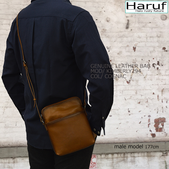 本革 ショルダーバッグ 小さいバッグ 294modmen1