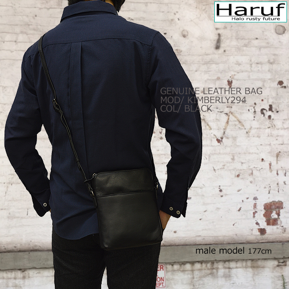 本革 ショルダーバッグ 小さいバッグ 294modmen2