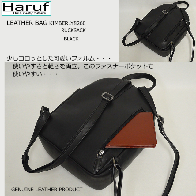 小さめ レザーリュック ブラック 背面ポケット 8260s6