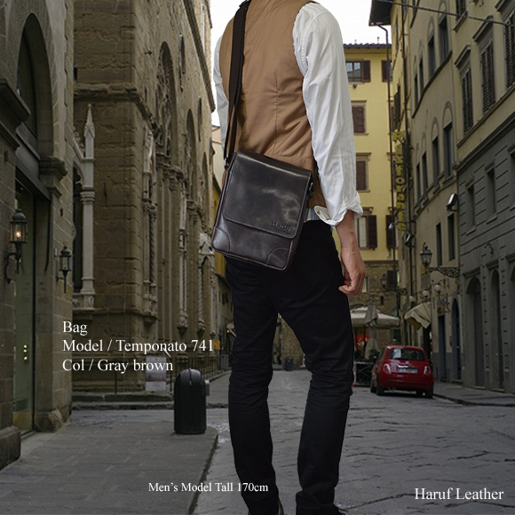 レザーショルダーバッグ bag-tempo741-1