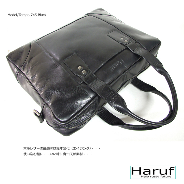 レザーバッグ 本革 bag-tempo745-5-n
