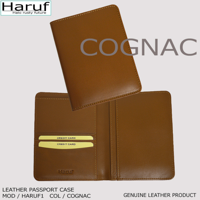 パスポートケース パスポートカバー 革 本革 レザー 手帳カバー b7