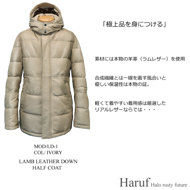 本革 ダウンジャケット メンズ ld1ivo6