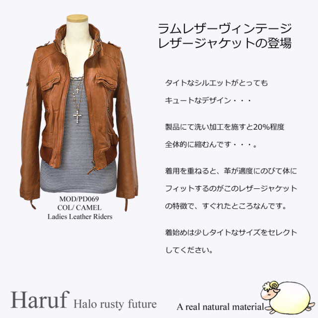 本革 ライダースジャケット レディース pd069cam1