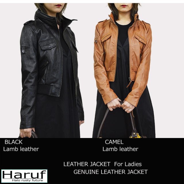本革 ライダースジャケット レディース pd069colorn
