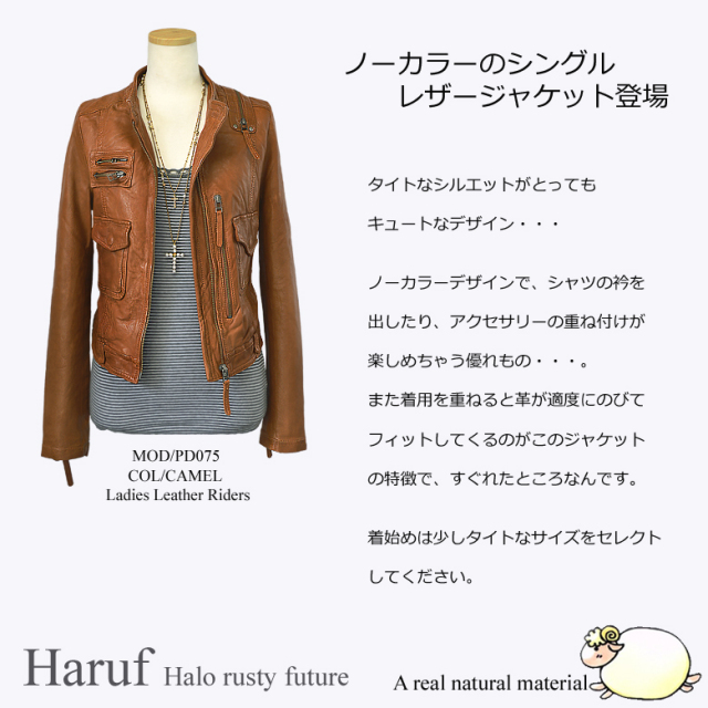 本革 ライダースジャケット レディース pd075cam1
