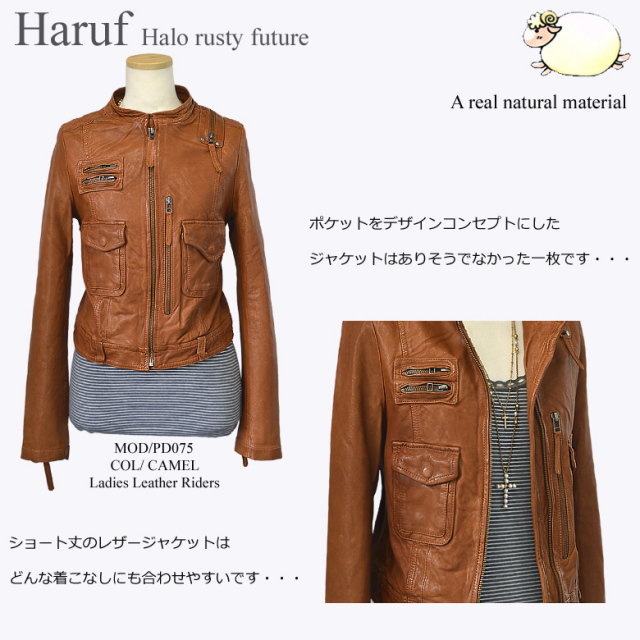 本革 ライダースジャケット レディース pd075cam3