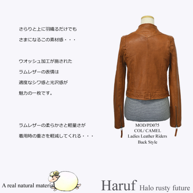 本革 ライダースジャケット レディース pd075cam4