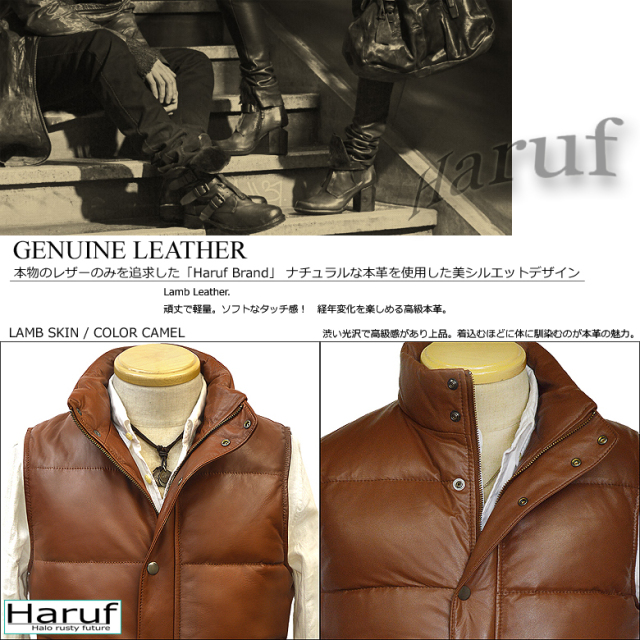ダウンベスト レザーベスト メンズ us114camsozain