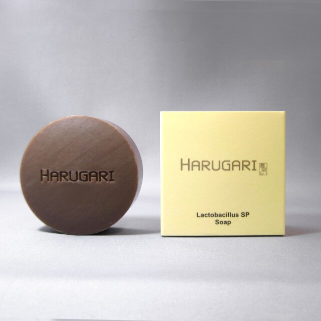HARUGARIラクトバチルスSP SOAP