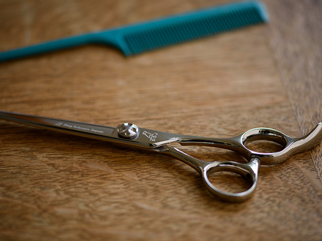 ドッグ シザーズ ジャパン ココ(Koko)ストレートシザー（straight