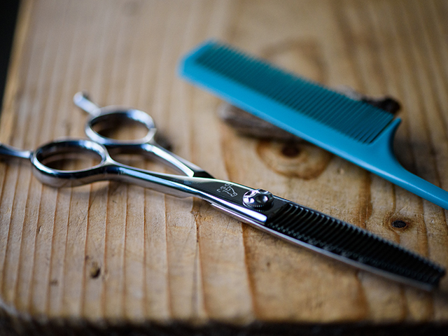 DOG_SCISSORS_JAPAN_DHS30M-16.