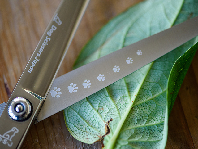 ドッグ シザーズ ジャパン モカ(Moka)ストレートシザー（straight