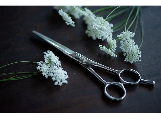 Dog Scissors Japan ドッグシザーズジャパン