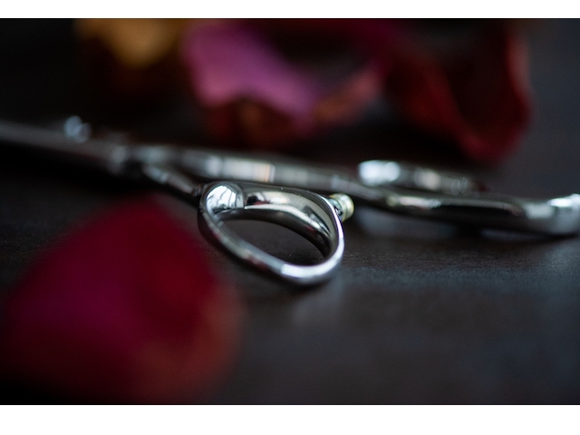 nico様 ドッグ シザーズ ジャパン ニコ(Nico) DTX-55F ・ DTX-60F (5.5