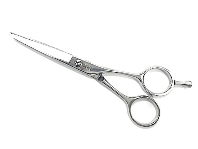 EV550.jpg?t=20230713150800 