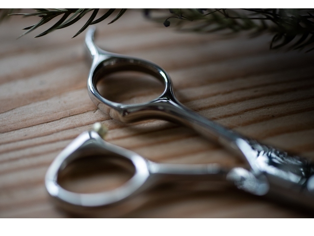 キングオリオン 9枚セット キングフィッシャー×ロンジン（LONGIN） ウェイキーブー 137