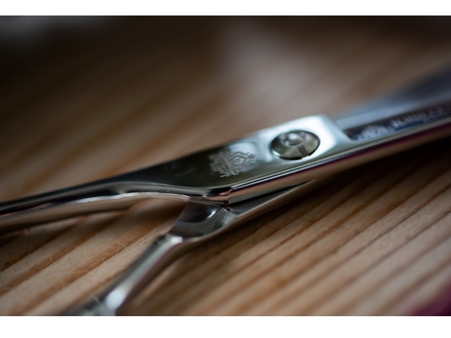 キングオリオン 9枚セット キングフィッシャー×ロンジン（LONGIN） ウェイキーブー 137