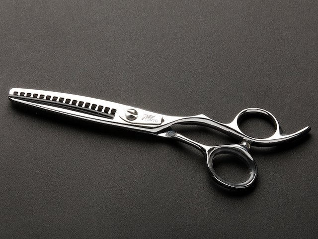 TENYO_HR50.jpg?t=20240130153348