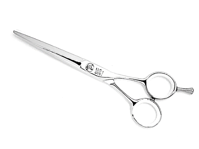 内海 城 CONCORDE-58 CONCORDE-62(UTSUMI Jyo)